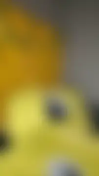 FreakySag_8888n Webbikameraesitys