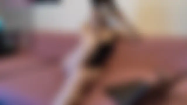 Pokój czatu na żywo – Melistanbul