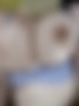 Sarah_Dalouaa Webcamshow