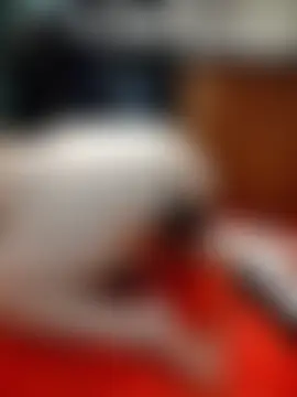 Pertunjukan Kamera Web AugustRayn