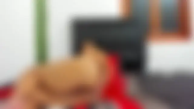 Онлайн чат XXX slavenastyy