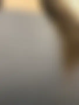 AnitaFly's Webcam Show