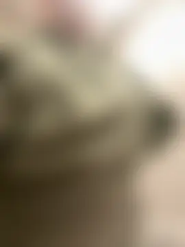 Show webcam de honeyyy24