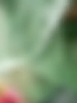 your-sameera 실시간 채팅방