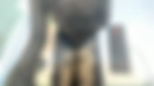 mapeees Live XXX-Chat