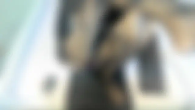 Czat XXX na żywo – mapeees