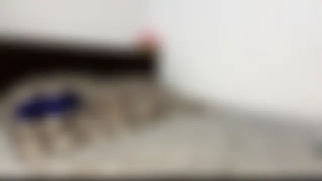 EvaRenard 即時 XXX 聊天