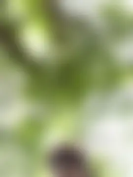 SheenaBrooke Webcam-Show