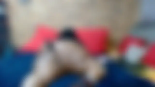 AFRICANBOOTYLICIOUS 网络视讯表演