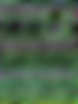 LunaCovenn – webcam-show