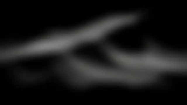 Lalaaxo ওয়েবক্যাম শো