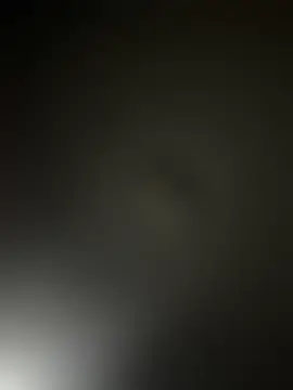 Ragahotitalia: вебкам-шоу