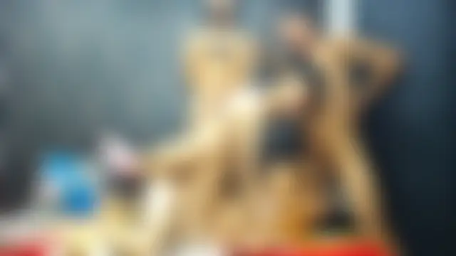 4SexFantastic 网络视讯表演