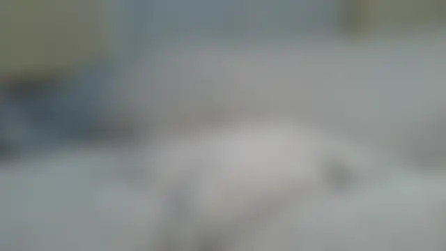 ndivhuwomuleya – Kamerová šou