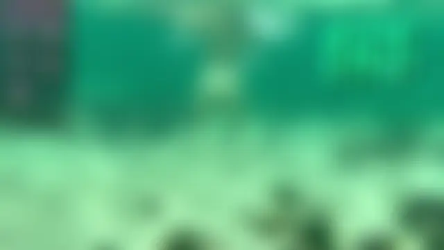 Sala de chat ao vivo de Ne_Sonia