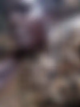 holygrail001 webcam show