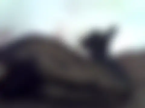 Rasta_tattooed Live XXX-Chat