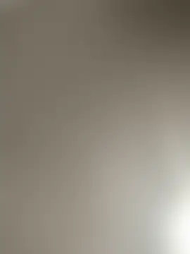 sanches_065n Webbikameraesitys