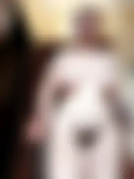 PanbaPanna – Kamerová šou