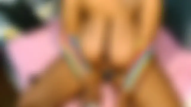 DidyBerry – Kamerová šou