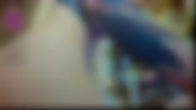 milky__way__のウェブカメラショー