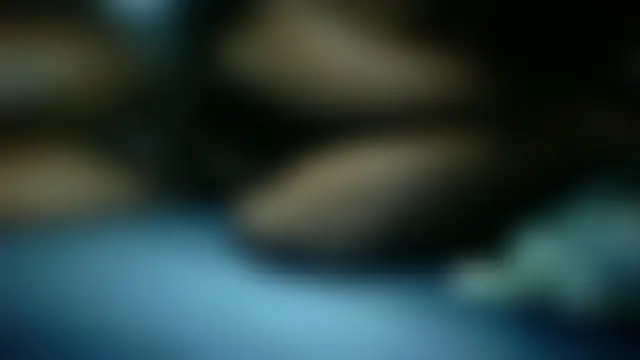 Show Webcam de milky8inch