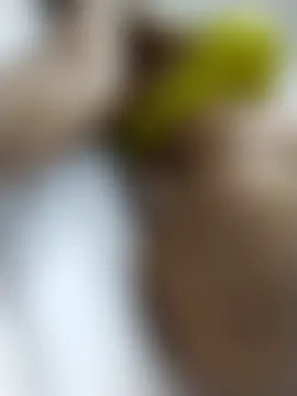 keilymadam's Webcam Show