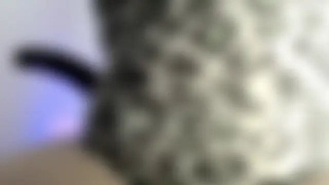 Chat XXX en directo de victoria_jones