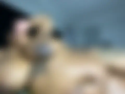 MissLola27 Webcam Show