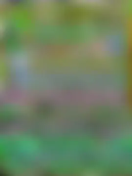 Malisa-aa 라이브 XXX 채팅