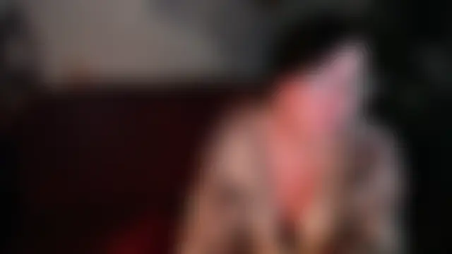 lori2017n Webbikameraesitys