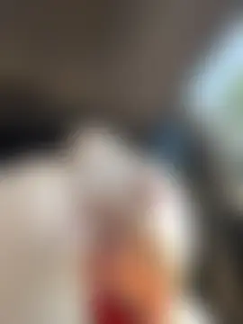 MerlinDave's Live XXX Chat