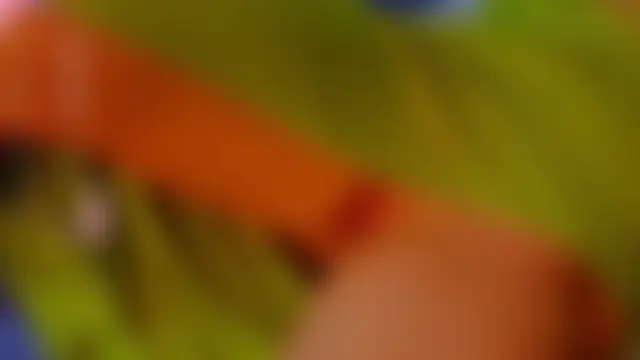 Hollara_Bangg 网络视讯表演