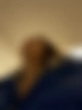 عرض كام Myrtle_Beach