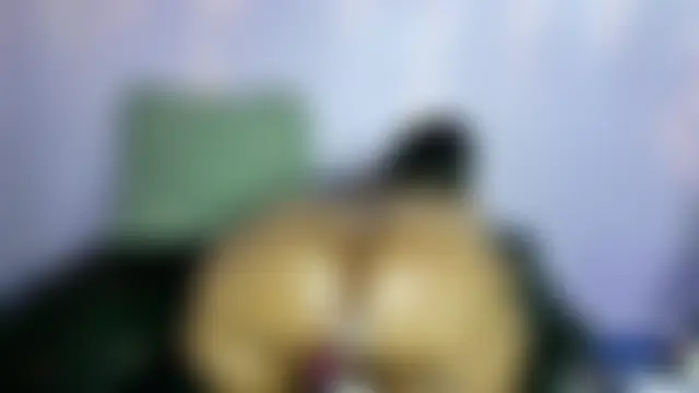 wilmaassylum 现场XXX聊天