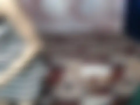 Ada-19のウェブカメラショー