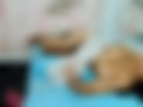 SOFIAA_CLARK Chat XXX live