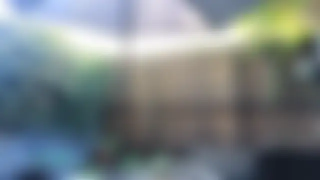 TopsyWilde's Webcam Show