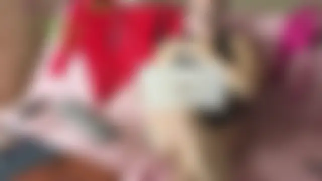 JadeStarUK: онлайн-секс-чат