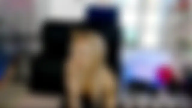 SarahRaynexのウェブカメラショー