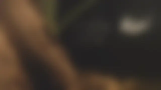 LauLauPAWG Live XXX-Chat