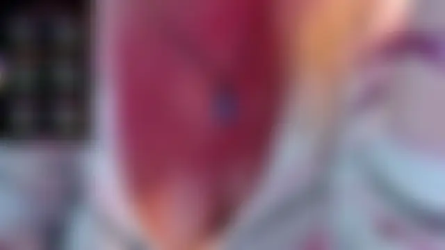 JennaDeluxe: απευθείας συνομιλία ΧΧΧ