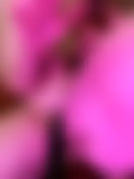 Miss_Afnane_squirt1のウェブカメラショー