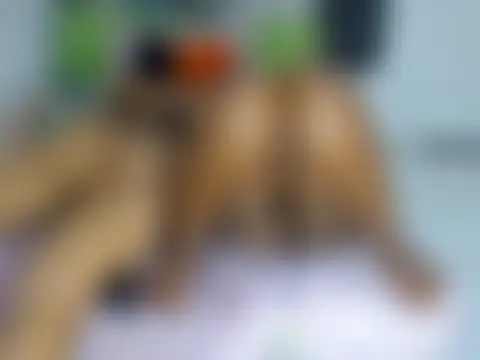 BootySoYummyX 라이브 XXX 채팅