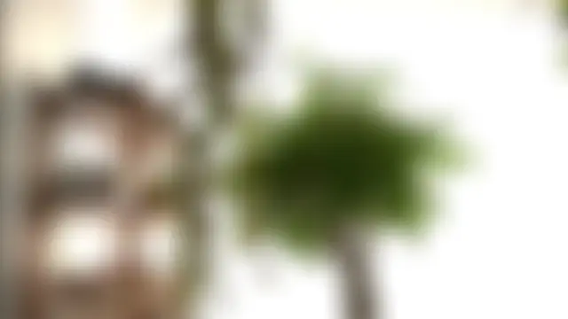 Czat XXX na żywo – TheMaddisonShow_