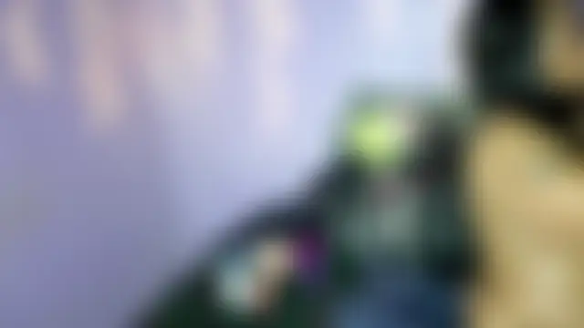 عرض كام wilmaassylum