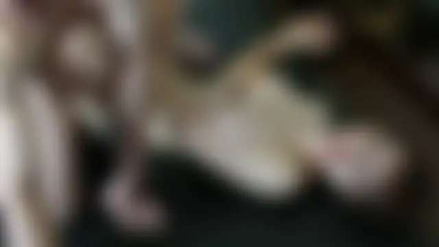 893JPmafia's Webcam Show