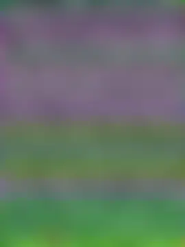 Dora__babyのウェブカメラショー