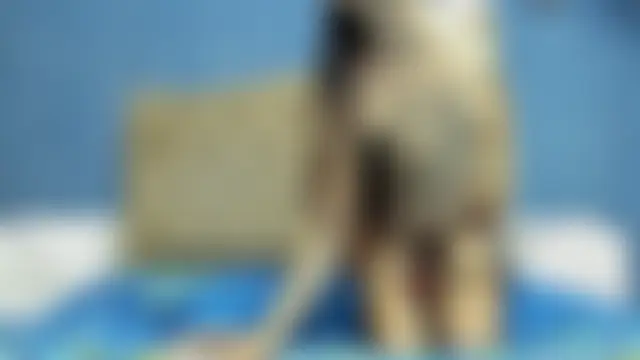 Kate_Tanisha 即時 XXX 聊天