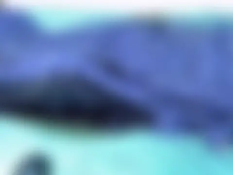 Seductive_Sage 即時 XXX 聊天